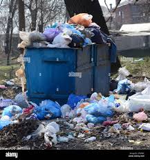 Professional Junk Removal Services in Dassel, MN