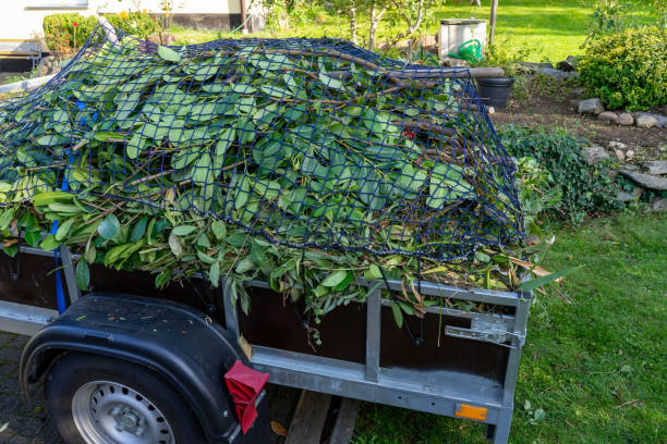 Best Carpet Removal and Disposal  in Dassel, MN