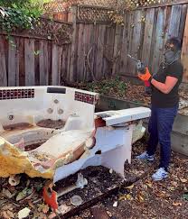 Best Recycling Services for Junk  in Dassel, MN